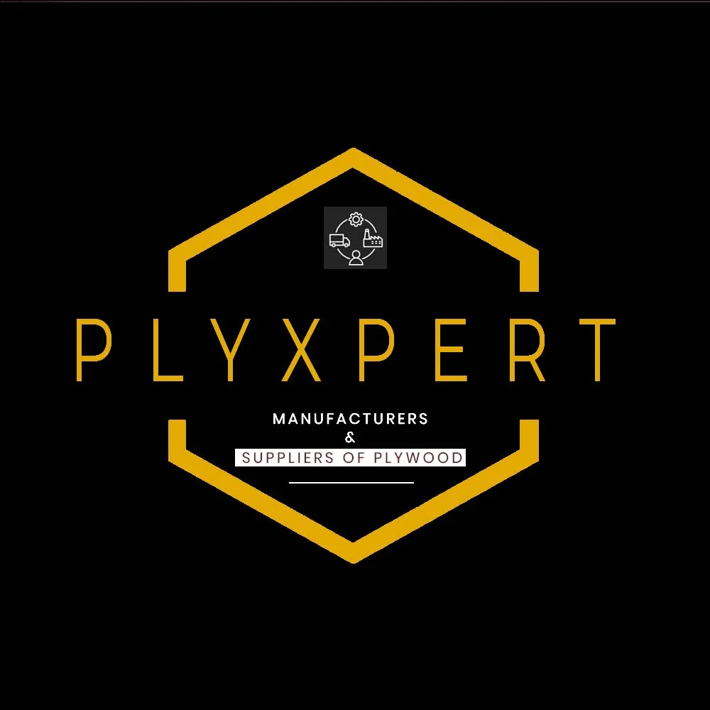 final logo plyxpert